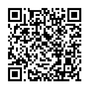 说明维纳家族的实力在这里也是属于垫底的类型二维码生成