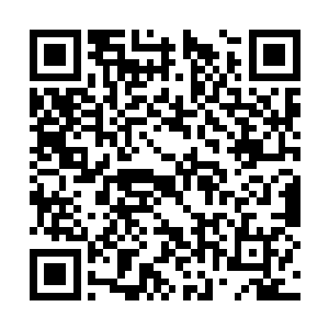 说明自己这个老师是合格的优秀的得到学生尊重的二维码生成