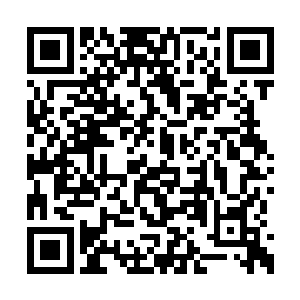 说明这个剧情世界本来就是允许玩家的随身空间二维码生成