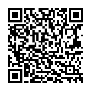 说明道尊商行舟对松山军府神将的人选没有偏向二维码生成