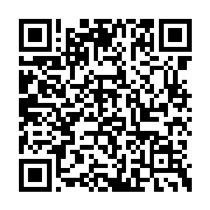 说明那张人脸的恐怖程度比他们想象的还要可怕二维码生成