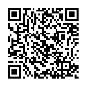 说是三分钟后全体集合去2号作训区参加反侦测体能训练二维码生成