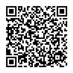 说是可以让她以凌寻鹤姑姑的身份去皇宫看着孙子孙女们完成婚礼二维码生成