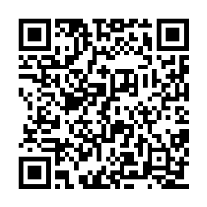 说是斥芦部落的某个先祖见到了一只奇怪的动物二维码生成