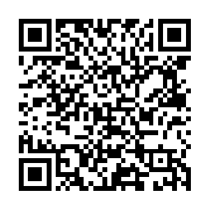 说是老爷子的这条命是秦洛的爷爷从鬼门关给拉回来的二维码生成