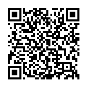 说是还没他的年代里开革命会议做笔记的小本本二维码生成