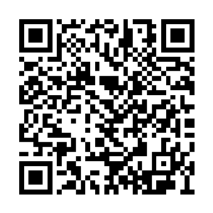 说是那韩永愿用十五万担粮食换回那输掉的家产二维码生成