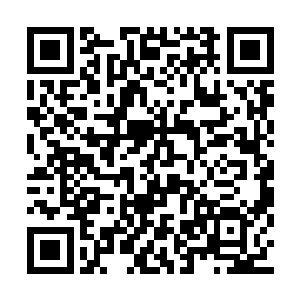 说李子豪老狗与曹豹之间不是有同性的无耻癖好二维码生成