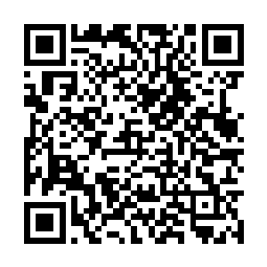 说来她和火狐签订的灵魂契约也是主仆契约的一种二维码生成