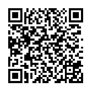 说白伶儿有他照顾就妥妥的杨元昭无需一直逗留在fz市二维码生成