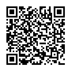 说着不知从哪里来的力量把抱着他的伊诺斯推到了一边二维码生成