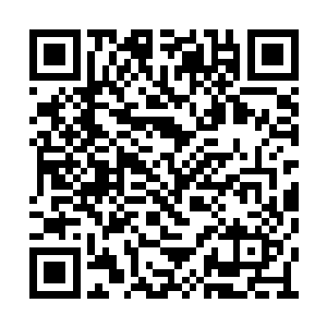 说着市政法委书记的儿子张雷便拉着杨小菲走了二维码生成