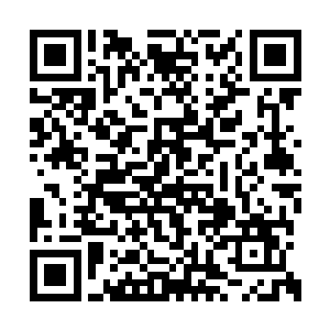 说着拿出口红在严小稣仅存的空地上来了一个叉二维码生成