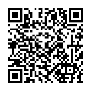 说等她要让宗宝发的时候宗宝说我这风头过去了二维码生成