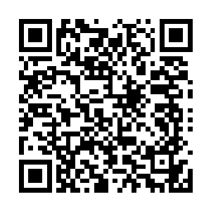 说自己在这里一直担心身份暴露而一直处于惶恐中二维码生成