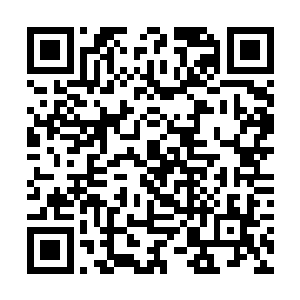 说话的忘情剑宗弟子见到林烽的宝贝以后也舒了口气二维码生成