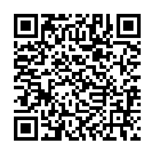 说起来他们五人中除了顾倩琳在中医上颇有些天份外二维码生成