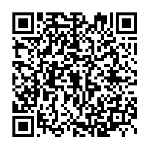 说起来帝蛇族也算得上这一带除了金乌族和三足巨鹰族以外的第三势力二维码生成