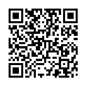 说起来很少见白娇和龙华之间的互动二维码生成