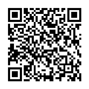 说起来这个五灵根的弟子真就是一时的好奇收下来的二维码生成