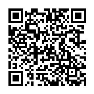 说起来这地下世界的居民到也不全是傻子……或者说二维码生成