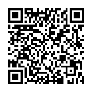 说这个破破烂烂的的家里能够藏着一方陈之山先生的大作二维码生成