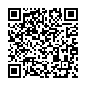说这句话时候的闻人牧月像是护着鸡崽不受伤害的老母鸡二维码生成