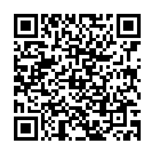 请他帮我查一下过去两年的修者市场材料交易记录二维码生成