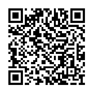 请你们每个小组派一个代表过来拿今天的任务卡二维码生成