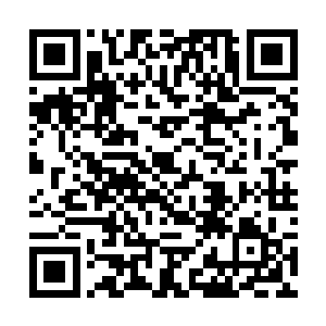 请你派人去仔细查探那两名无角人和两个小孩的底细二维码生成