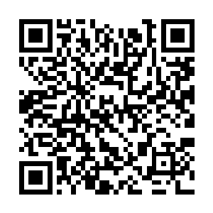 请向我予以伟大的钧基利星海高虚清明金精皇陛下二维码生成