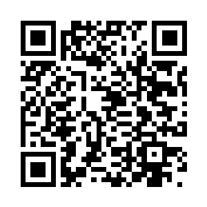 请将城主府里面的所有霍夫紫叶给我二维码生成