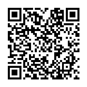 请问是哪位天赋惊人的超级天才道医基础十道全部悟道二维码生成