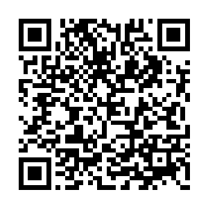 诸多大帝和天道浩劫同时出现……就算圣山再强二维码生成