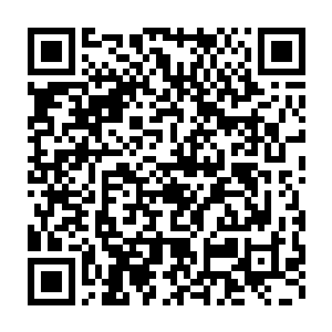 诺曼帝国的普通标准金币上正反面的图案是铁桫椤与交叉的战神之矛二维码生成