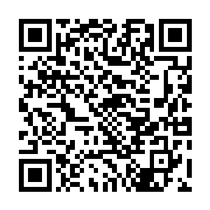 谁不知道西方教廷对于亡灵法圣的态度向来都是零容忍啊二维码生成