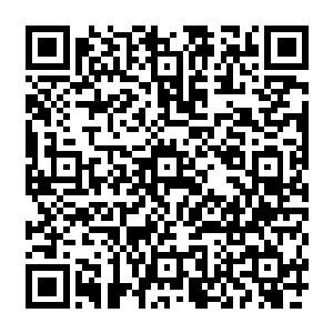 谁也不会想到那株仅仅巴掌大小看上去娇弱柔嫩的金色小花会有那么长那些茂盛的根须二维码生成