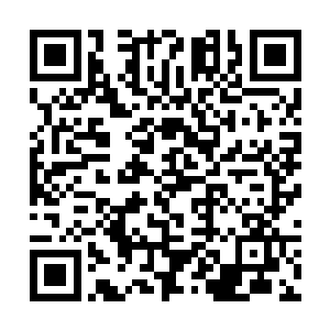 谁也不想因为这场争斗而殃及到自己的生命财产安全二维码生成