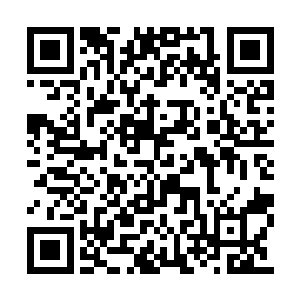 谁也不愿意放过这个在省委书记跟前露脸的机会二维码生成