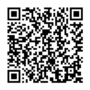 谁也不敢保证他们会不会趁着众人进入地心世界战斗的时候发起进攻二维码生成