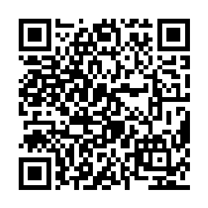 谁也不知道这些人里面会不会出现几个天资卓越二维码生成