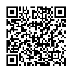 谁也不知道那里面有些放射性元素经历了多久的半衰期二维码生成
