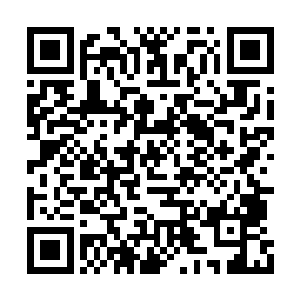 谁也不知道陆为民这个重新听取汇报是什么意思二维码生成