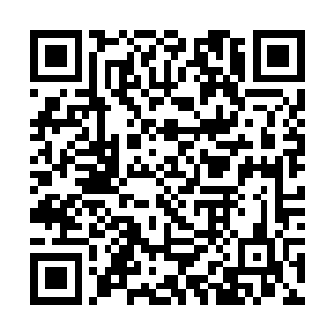 谁也保证不了他们会不会突然冲出来对你和危天出手二维码生成