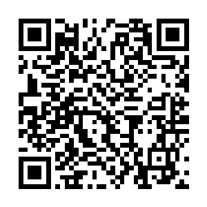 谁也没有想到许紫烟根本就没有回乾元城的凌波天王府二维码生成