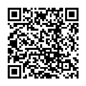 谁会想到德高望重的老祖宗会忽然做出这样的选择来二维码生成