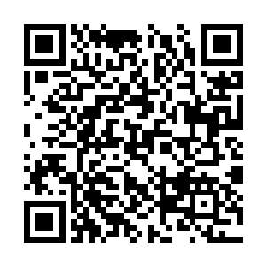 谁听说过在合同谈判的时候有人主动提出这一点的二维码生成