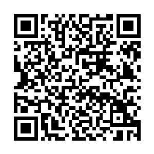 谁有能够想象到一个亡灵大帝居然会有虔诚的圣光信仰二维码生成