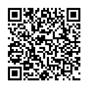 谁知道今儿内务府送到我们院子里的米只有平日里的一半二维码生成