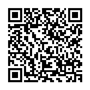 谁知道奥斯卡会把奖给谁――这年头真的什么事都有可能发生二维码生成